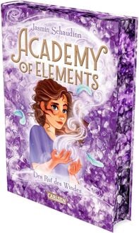 Produktbild: Academy of Elements 1: Der Ruf des Windes
