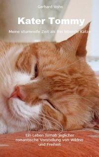 Produktbild: Kater Tommy