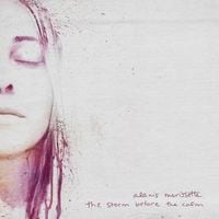 Produktbild: The Storm Before The Calm