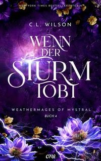 Produktbild: Wenn der Sturm tobt