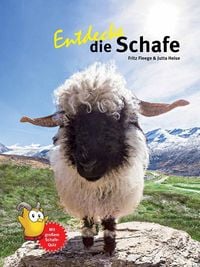Produktbild: Entdecke die Schafe