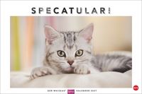Produktbild: Whiskas Katzenkalender 2027