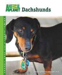 Produktbild: Dachshunds