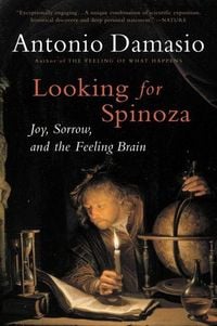 Produktbild: Looking for Spinoza
