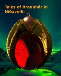 Produktbild: Tales of Brannh&aring;r in Ni&eth;avellir (Blank Magic, #5)