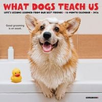 Produktbild: What Dogs Teach Us 2026 Mini Wall Calendar