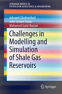 Produktbild: Challenges in Modelling and Simulation of Shale Gas Reservoirs