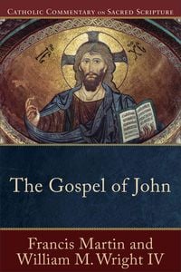 Produktbild: The Gospel of John