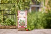 Produktbild: Saatgeschwister Minigarten "Erdbeere"