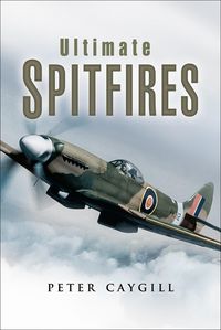 Produktbild: Ultimate Spitfires