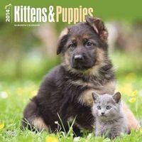 Produktbild: Kittens & Puppies Calendar