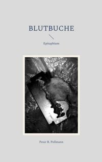 Produktbild: Blutbuche