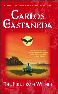Bild vom Artikel Fire from Within vom Autor Carlos Castaneda
