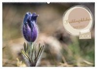 Produktbild: Fr&uuml;hlingsbl&uuml;her - Farbenpracht nach dem Winter (Wandkalender 2026 DIN A2 quer), CALVENDO Monatskalender