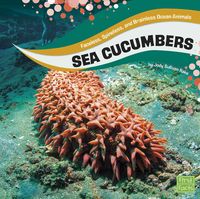 Produktbild: Sea Cucumbers