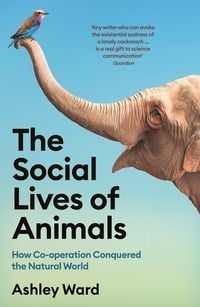 Produktbild: The Social Lives of Animals