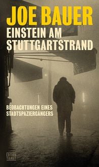 Produktbild: Einstein am Stuttgartstrand