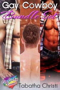 Produktbild: Gay Cowboy Bundle Set