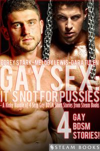Bild vom Artikel Gay Sex: It's Not For Pussies - A Kinky Bundle of 4 Sexy Gay BDSM Short Stories from Steam Books vom Autor Corey Stark