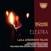 Bild vom Artikel Elektra vom Autor Laila Andersson-Palme