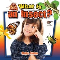 Produktbild: What Is an Insect?