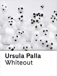Produktbild: Ursula Palla. Whiteout