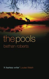Bild vom Artikel The Pools vom Autor Bethan Roberts