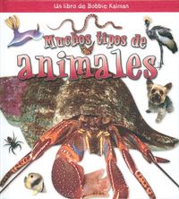 Produktbild: Muchos Tipos de Animales (Many Kinds of Animals)