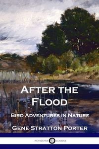 Produktbild: After the Flood