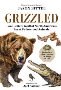 Produktbild: Grizzled