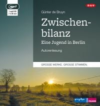 Produktbild: Zwischenbilanz. Eine Jugend in Berlin
