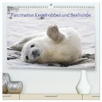 Produktbild: Faszination Kegelrobben und Seehunde 2026 (hochwertiger Premium Wandkalender 2026 DIN A2 quer), Kunstdruck in Hochglanz