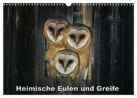 Produktbild: Heimische Eulen und Greife (Wandkalender 2026 DIN A3 quer), CALVENDO Monatskalender