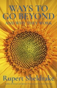 Produktbild: Ways to Go Beyond and Why They Work