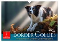 Produktbild: Border Collies H&uuml;teprofis (Wandkalender 2026 DIN A3 quer), CALVENDO Monatskalender