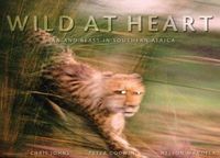 Produktbild: Wild at Heart: Man and Beast in Southern Africa