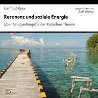 Produktbild: Resonanz und soziale Energie