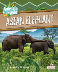Produktbild: Asian Elephant