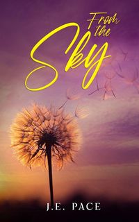 Produktbild: From the Sky