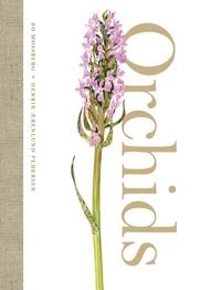 Produktbild: Orchids