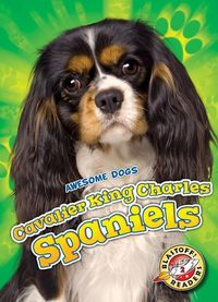 Produktbild: Cavalier King Charles Spaniels