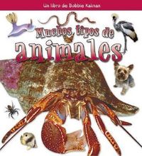 Produktbild: Muchos Tipos de Animales (Many Kinds of Animals)