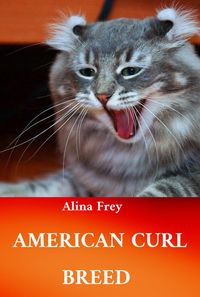 Produktbild: American Curl Breed