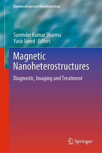 Produktbild: Magnetic Nanoheterostructures