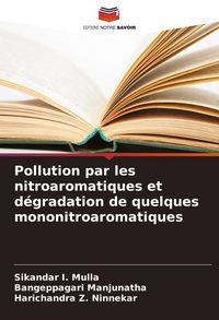 Produktbild: Pollution par les nitroaromatiques et d&eacute;gradation de quelques mononitroaromatiques
