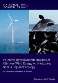 Produktbild: Potential Hydrodynamic Impacts of Offshore Wind Energy on Nantucket Shoals Regional Ecology