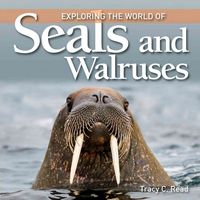 Produktbild: Exploring the World of Seals and Walruses