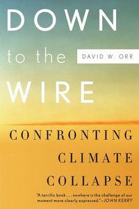 Produktbild: Down to the Wire