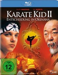Bild vom Artikel Karate Kid 2 vom Autor Ralph Macchio