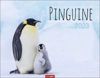 Bild vom Artikel Pinguine Kalender 2023. Posterkalender mit Kaiser-, Adelie-, Zügel- und Felsenpinguinen. Großer Wandkalender für Tierfreunde. Von namhaften Fotogra vom Autor Jean-Louis Klein